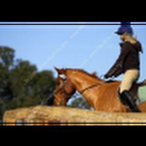 Meet your Posher, Coral